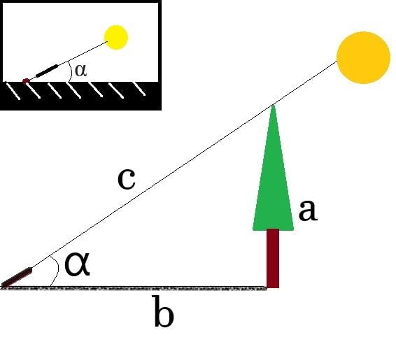 determining the height of a tree